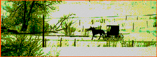 Buggy comes up...